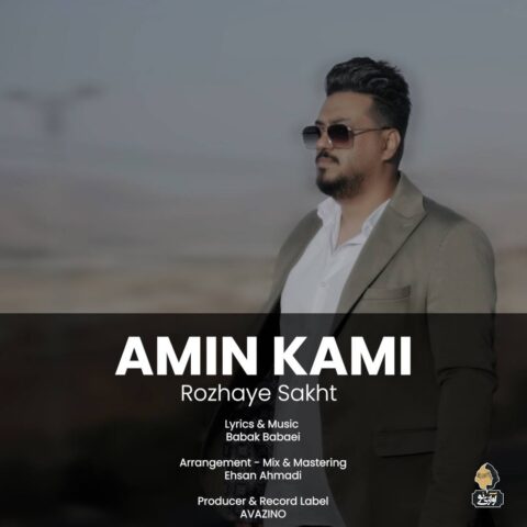 دانلود آهنگ امین کامی روزهای سخت